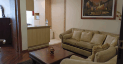 Arriendo Suite, Amoblada, un Dormitorio, 55 m². Sector La Carolina