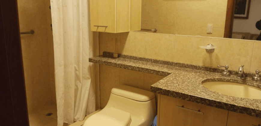 Arriendo Suite, Amoblada, un Dormitorio, 55 m². Sector La Carolina