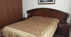 Arriendo Suite, Amoblada, un Dormitorio, 55 m². Sector La Carolina