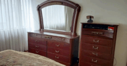 Arriendo Suite, Amoblada, un Dormitorio, 55 m². Sector La Carolina