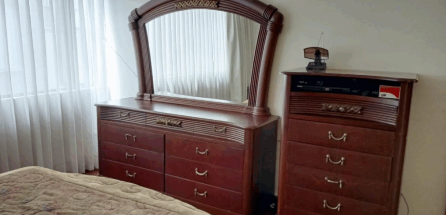 Arriendo Suite, Amoblada, un Dormitorio, 55 m². Sector La Carolina
