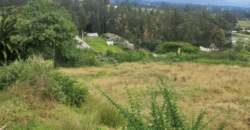 Vendo Terreno/lote, 2 Ha. Sector Yaruqui