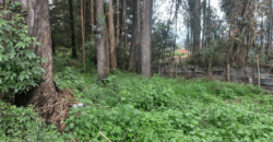 Vendo Terreno/lote, 2 Ha. Sector Yaruqui