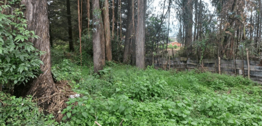 Vendo Terreno/lote, 2 Ha. Sector Yaruqui
