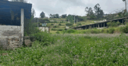 Vendo Terreno/lote, 2 Ha. Sector Yaruqui