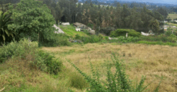 Vendo Terreno/lote, 2 Ha. Sector Yaruqui
