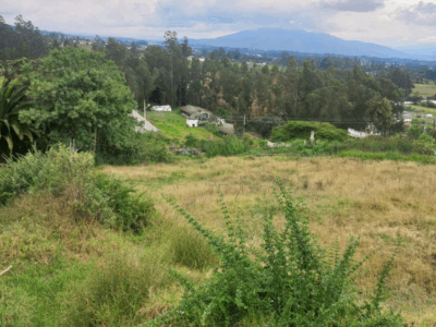 Vendo Terreno/lote, 2 Ha. Sector Yaruqui