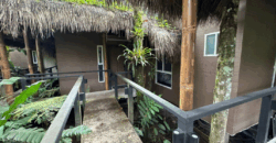 Vendo Hosteria Logde, Suites Premium, Amoblada y Casa. Sector Mindo