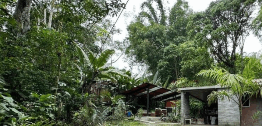 Vendo Hosteria Logde, Suites Premium, Amoblada y Casa. Sector Mindo