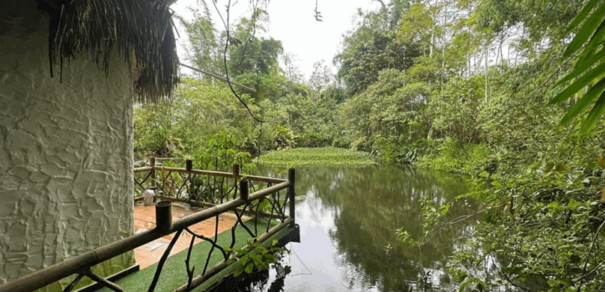 Vendo Hosteria Logde, Suites Premium, Amoblada y Casa. Sector Mindo