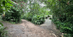 Vendo Hosteria Logde, Suites Premium, Amoblada y Casa. Sector Mindo