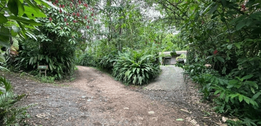 Vendo Hosteria Logde, Suites Premium, Amoblada y Casa. Sector Mindo