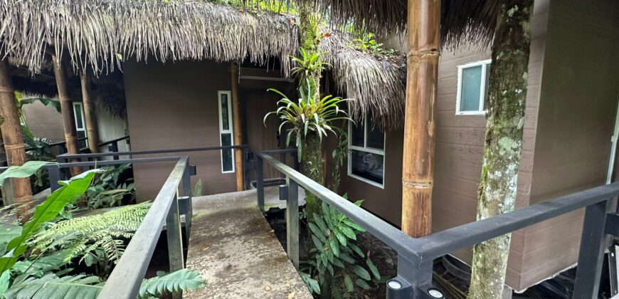 Vendo Hosteria, Suites Premium y Casa, Amobladas. Sector Mindo