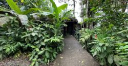 Vendo Hosteria, Suites Premium y Casa, Amobladas. Sector Mindo