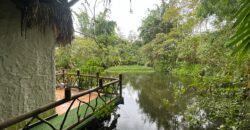 Vendo Hosteria, Suites Premium y Casa, Amobladas. Sector Mindo