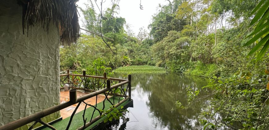 Vendo Hosteria, Suites Premium y Casa, Amobladas. Sector Mindo