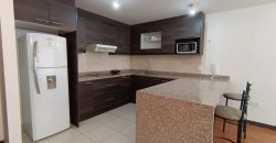 Rento Suite, Un Dormitorio, Amoblado, Parqueadero. Sector La Carolina