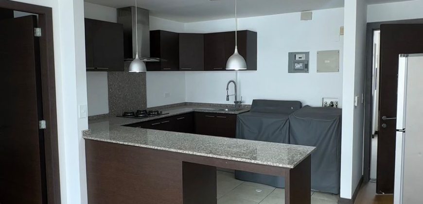 Vendo Suite, Un Dormitorio, Sin Amoblar, Parqueadero, Bodega. Sector La Carolina