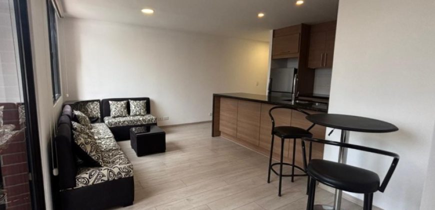 Rento Suite, Amoblada, Un Dormitorio, Parqueadero. Bodega. Sector La Carolina