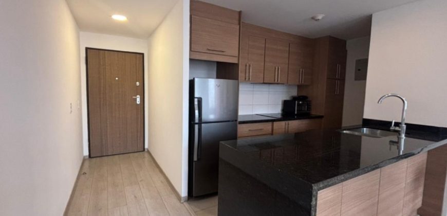 Rento Suite, Amoblada, Un Dormitorio, Parqueadero. Bodega. Sector La Carolina