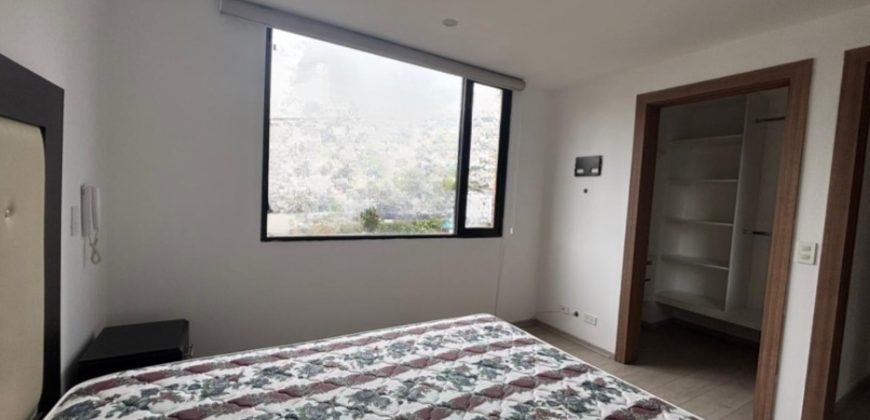 Rento Suite, Amoblada, Un Dormitorio, Parqueadero. Bodega. Sector La Carolina