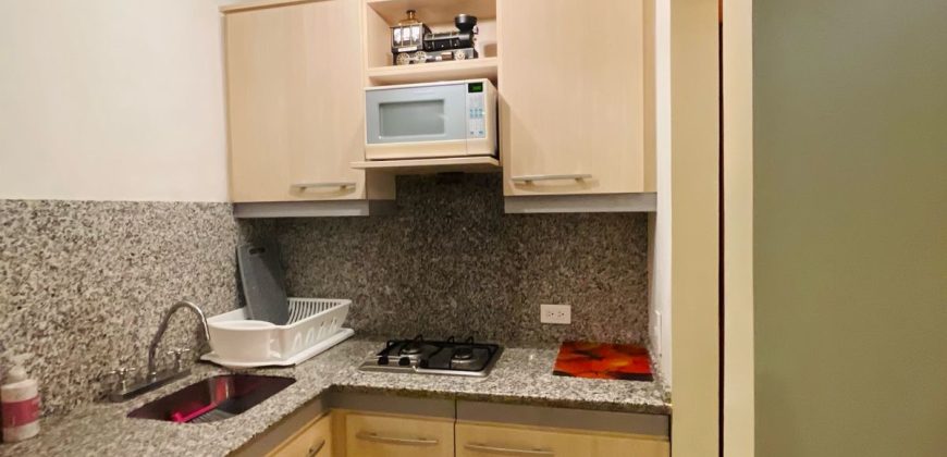 Rento Suite, Un Dormitorio, Amoblada. Sector Gaspar de Villarroel